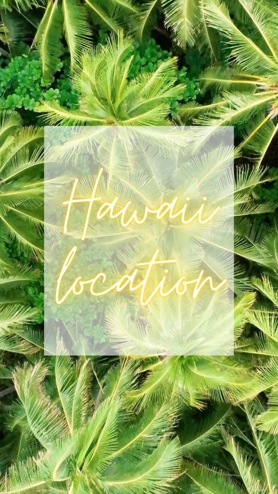 動画のサムネイル